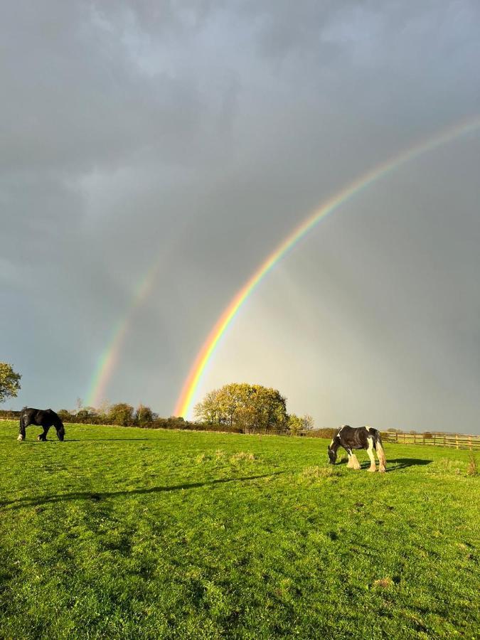Appaloosa Suite With Amazing Views Of Stud Farm. Driffield Экстерьер фото
